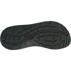 Chaco Womens Z/2 Classic Sandals Seaside Navy -Rogan‘s Shoes shop CA 109052 BLU4